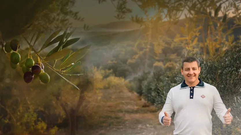 Living Capital for Centuries: How Olive Trees Become a Bioasset for a Sustainable Ecosystem